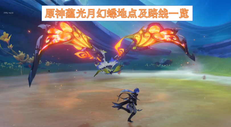 原神蕴光月幻蝶的位置分布与寻找路径全指南