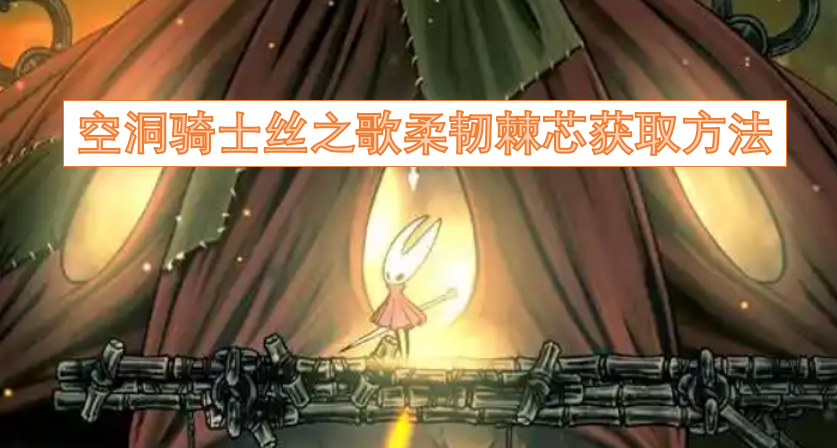 空洞骑士丝之歌中柔韧棘芯的获取途径