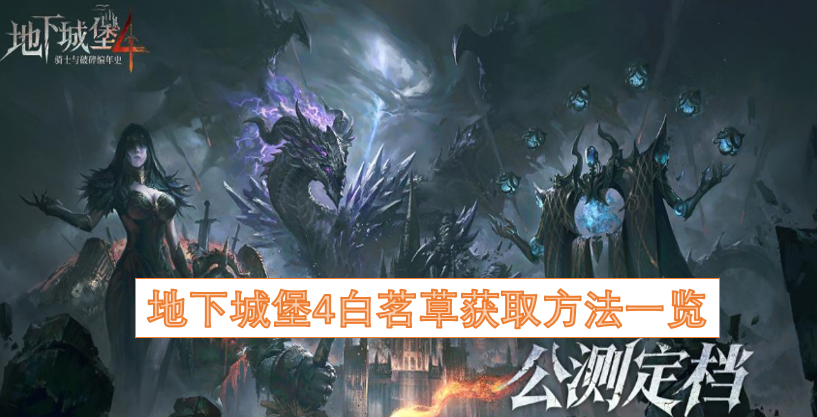地下城堡4白茗草获取途径全解析