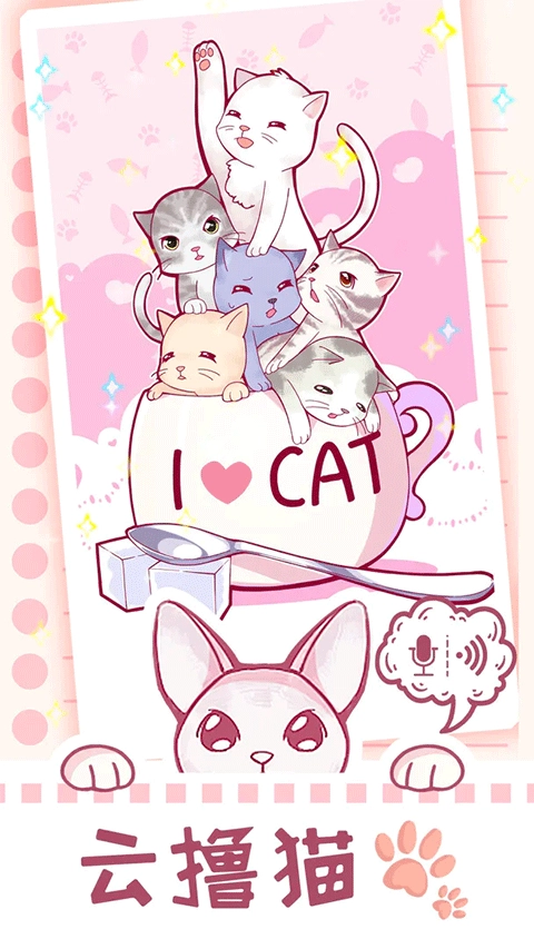 云撸猫咪(3)