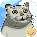 大千世界手机版