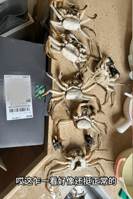 顾客用AI合成死螃蟹图片要求退款，被行拘8日，195元全额追回