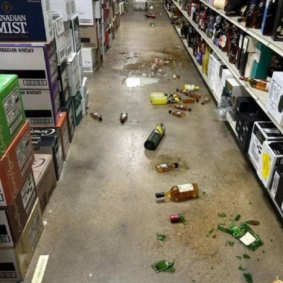 这是“火箭”本熊吗？美国一只浣熊闯入酒铺偷喝烈酒，结果醉倒在卫生间