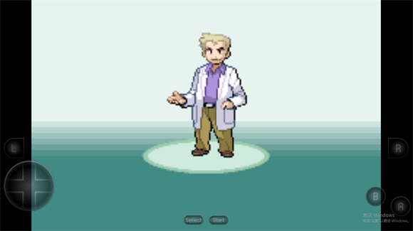 口袋妖怪叶绿图4