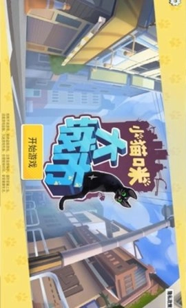 小猫咪大城市