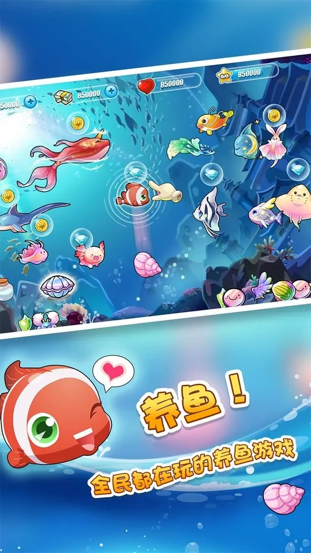 开心水族箱图5
