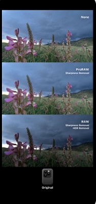 dazz相机最新版1