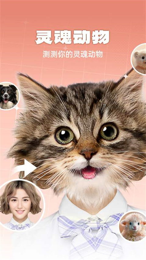灵魂宠物3
