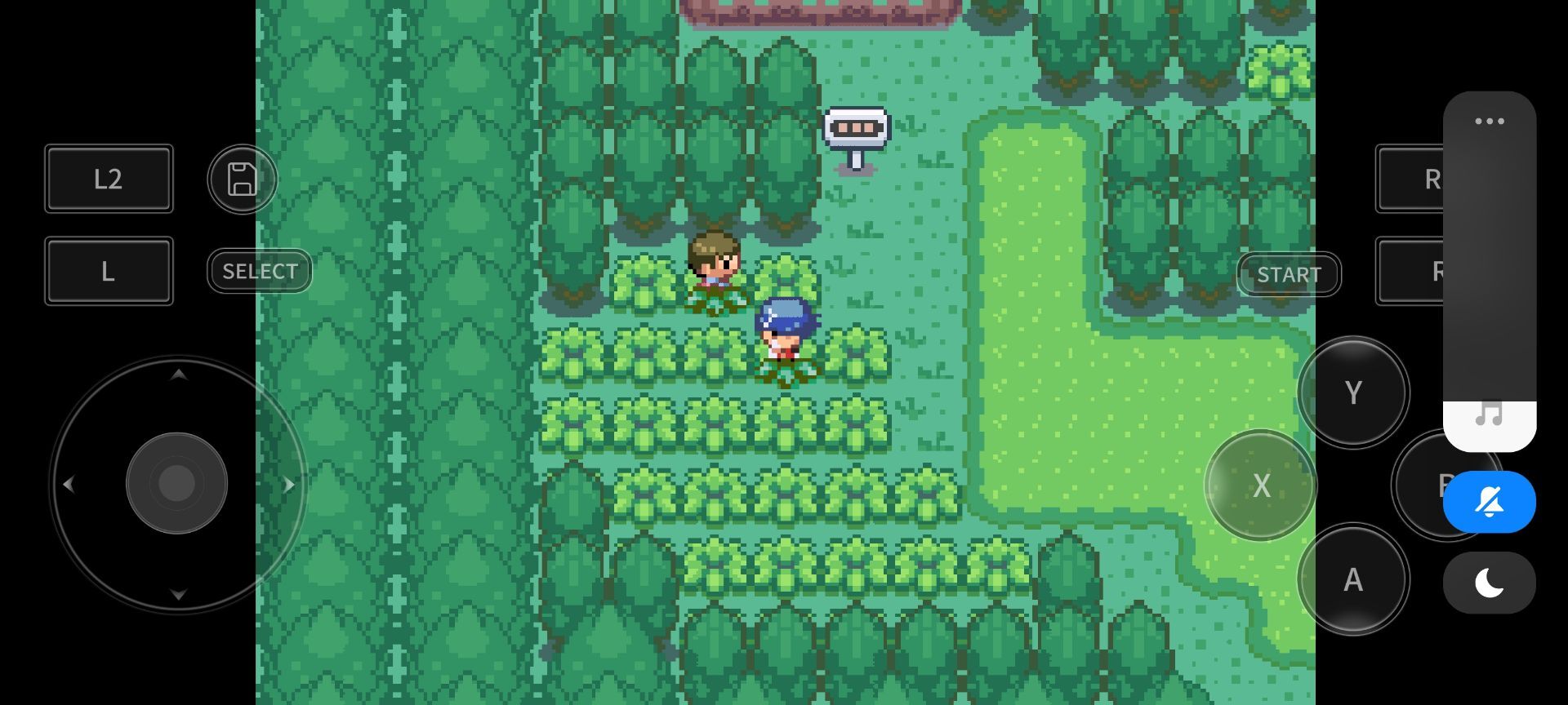 宝可梦洛克王国(3)