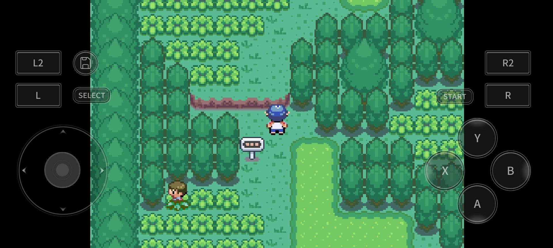 宝可梦洛克王国(2)