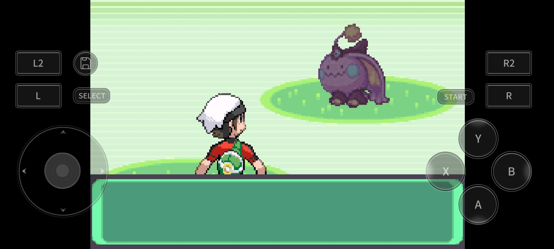 宝可梦洛克王国(5)