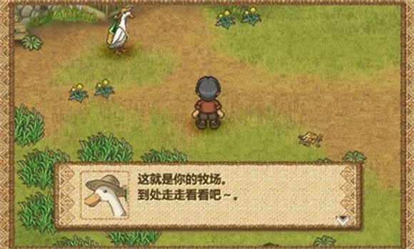 欢迎来到绵羊村图2