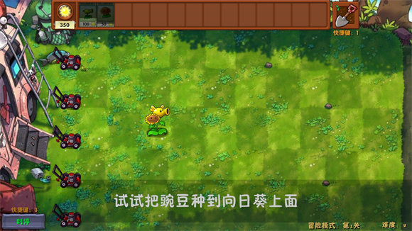 植物大战僵尸融合黑夜版图4