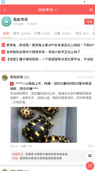 灵龟之家自由市场