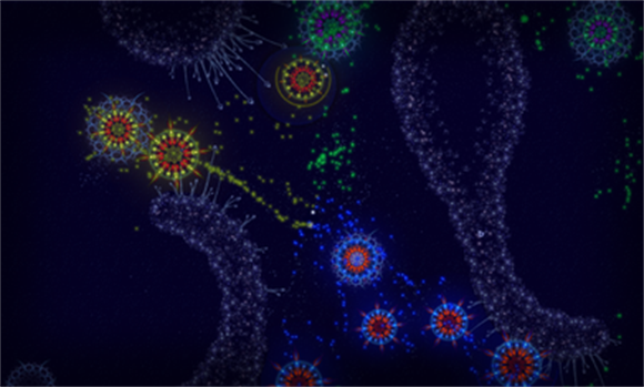 微生物模拟器(3)