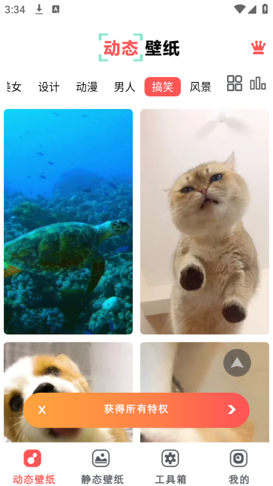 布丁壁纸大全图5