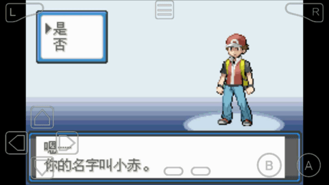 口袋妖怪空之花神