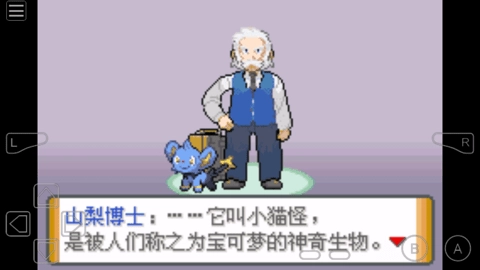 口袋妖怪冥泣重制版(4)