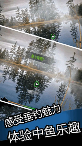 真实钓鱼大师(2)