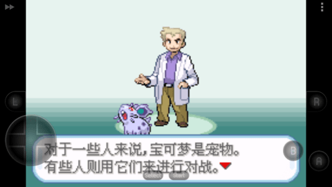 口袋妖怪圣灰中文版