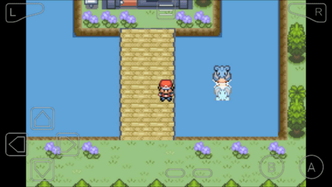 口袋妖怪空之花神