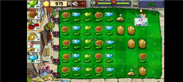 植物娘大战僵尸庄不纯-图3