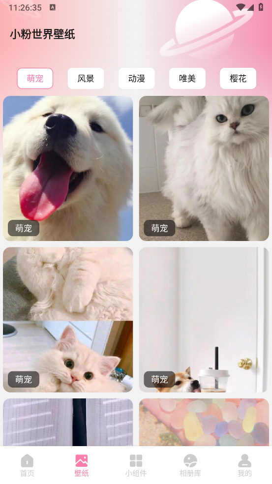 小粉世界壁纸图2