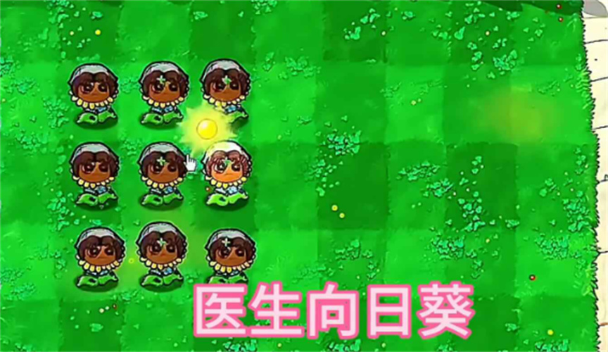 植物大战僵尸第五人格版