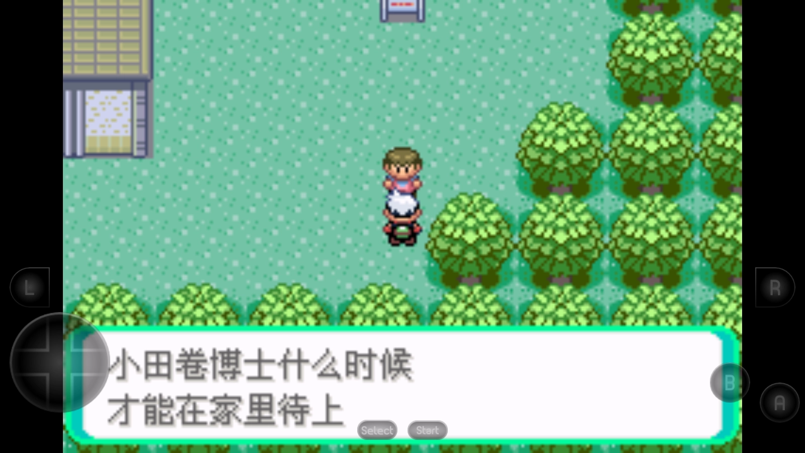 口袋妖怪绿宝石(4)