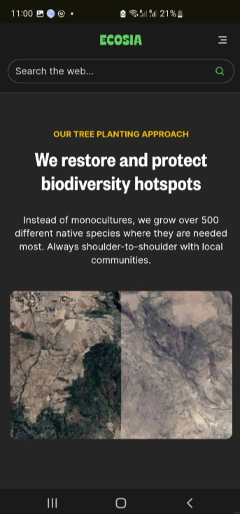 ecosia搜索引擎图3