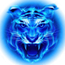 四虎影视手机版