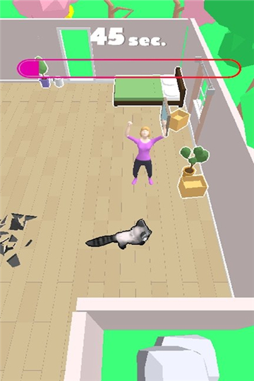 浣熊破坏房屋图2