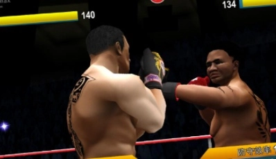 世界拳击比赛(2)