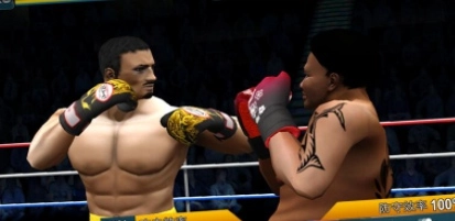 世界拳击比赛(3)