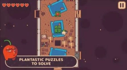 逃税的萝卜男孩