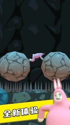 疯狂兔子人双人联机版3