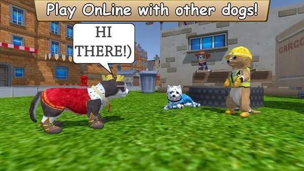 美国Zoom动物最新版图2