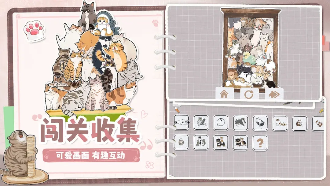 挤在一起的猫猫(1)