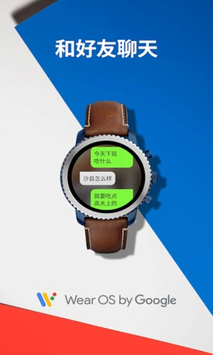 Wear OS by Google5