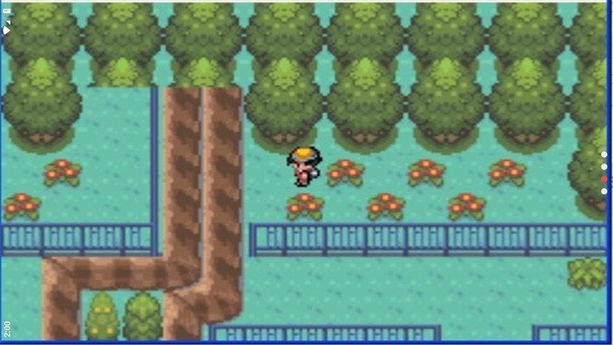 口袋妖怪极光石