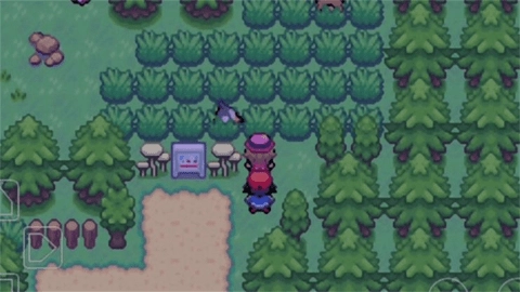 口袋妖怪龙之石3图4