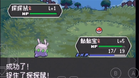 口袋妖怪龙之石3图2