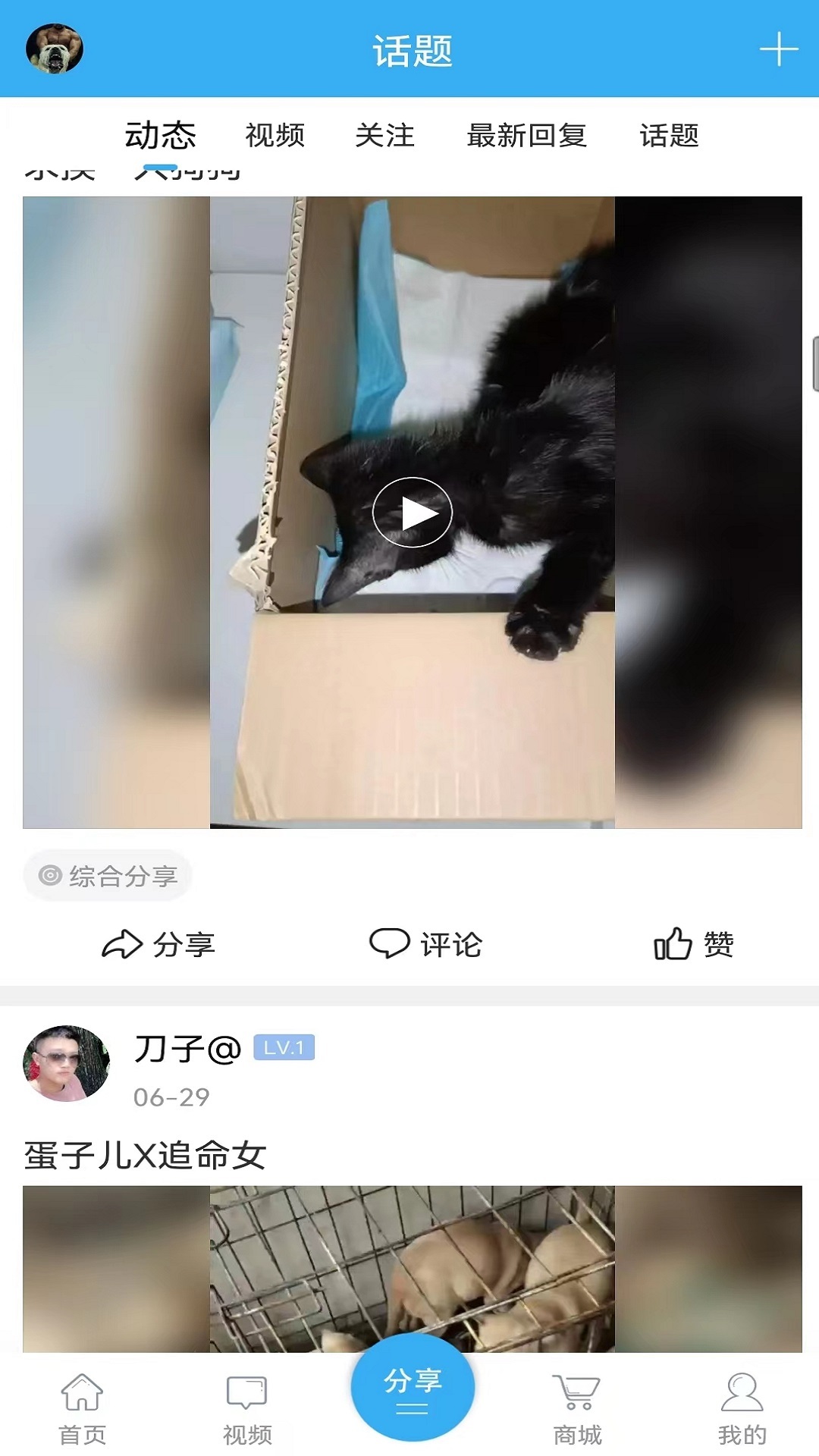 猛犬俱乐部(4)