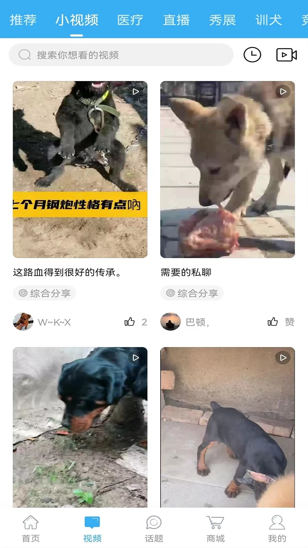 猛犬俱乐部(3)