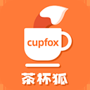 茶杯狐Cupfox