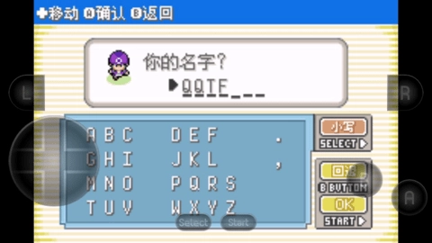 口袋妖怪黑琥珀图3