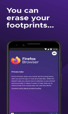 firefox beta图2