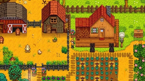 stardewvalley图5