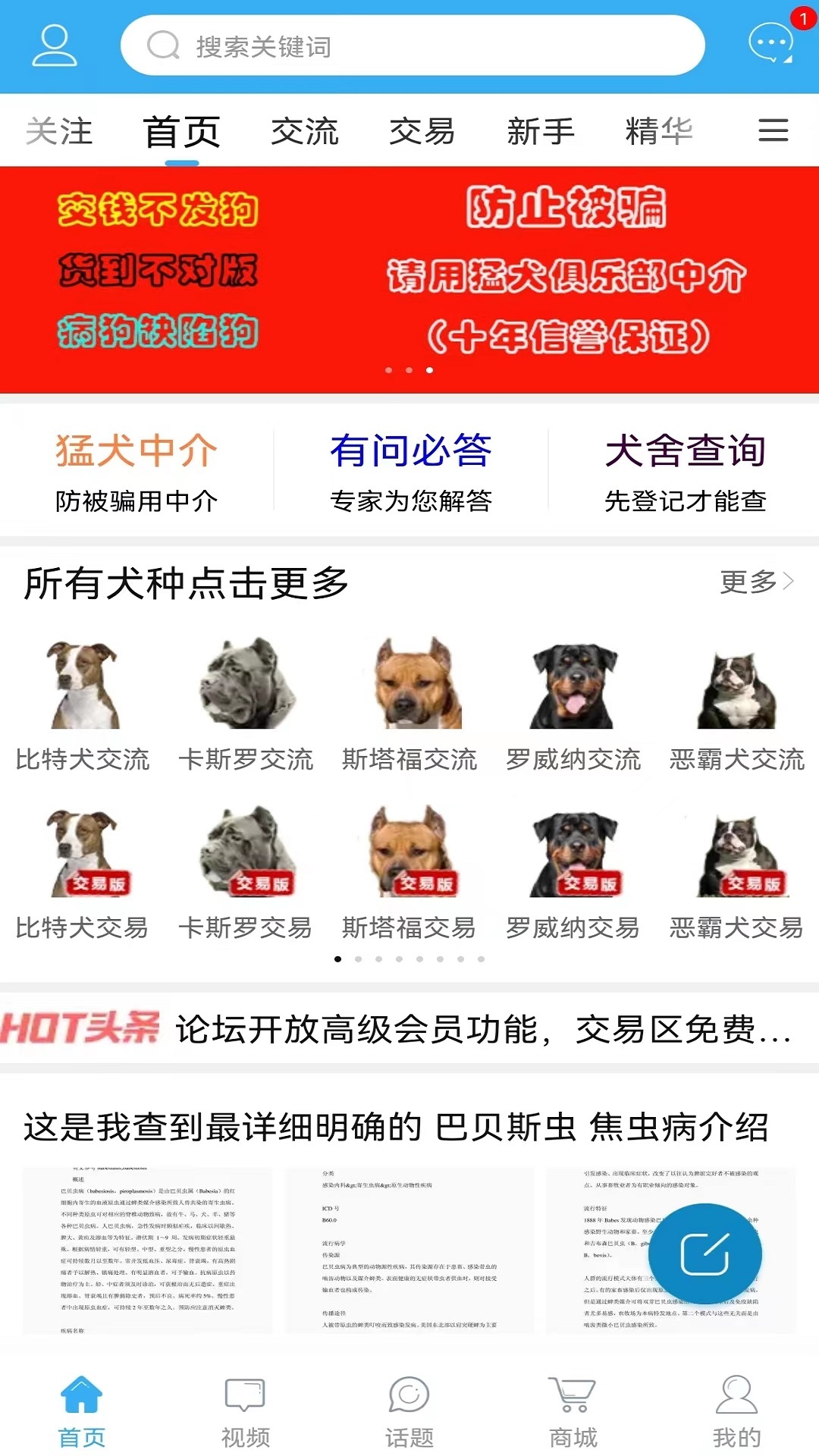 猛犬俱乐部(1)