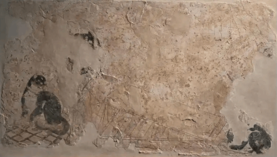 北大最新研究揭示：1200年前中国人饲养的是豹猫，家猫普及始于唐代！